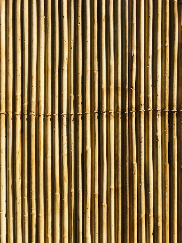 bambusmøbler til udestue